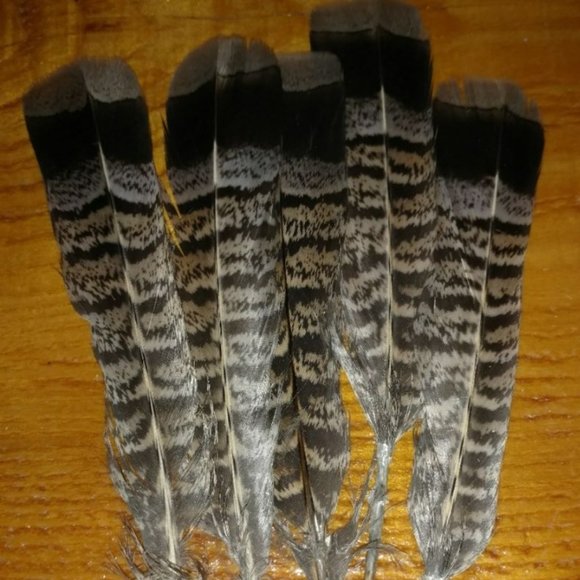 Partridge tail feathers - Picture 1 of 1